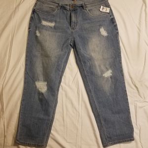 Plus Light Wash Dollhouse Jeans